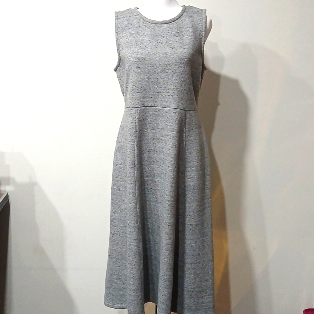 J.CREW wonderful Dress
